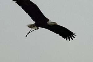 ed0584cd-c64f-450b-9960-ef86ec629d7c