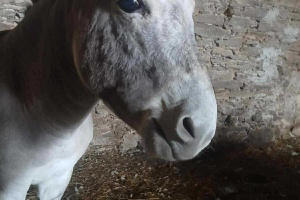 ee40ef55-7893-4f15-b8db-f057403b27a3