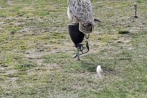 efcfe190-e631-4fb2-879d-413b0d90f4ca