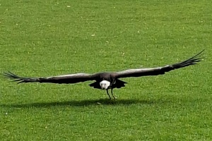 fe2f5a3c-1398-436b-baa4-f82e05e3d2f5