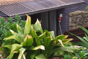 Hrabětický chřest – exkurze – 9. třída