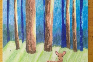 Les nás baví – výtvarná soutěž