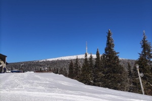 IMG-20250318-WA0003