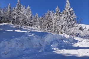 IMG-20250318-WA0004