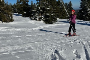 IMG-20250318-WA0019