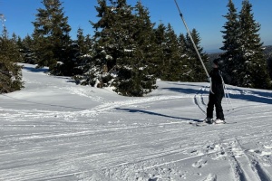 IMG-20250318-WA0020