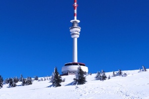 IMG_20250319_141824