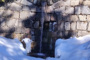 IMG-20250319-WA0006