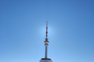 IMG-20250319-WA0025