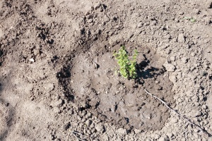 IMG_20250404_123442_0