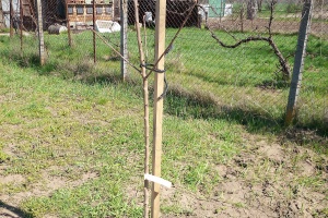 IMG_20250404_123606_9