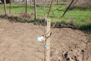 IMG_20250404_123628_0