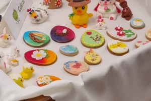 IMG-20250415-WA0029