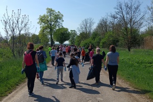 IMG_20250423_105358