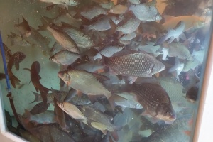 IMG_20250425_092631