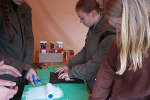 IMG_20250425_095139_3