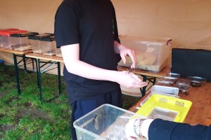 IMG_20250425_100645