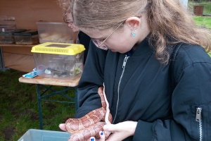 IMG_20250425_101354_6
