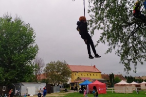 IMG_20250425_105359