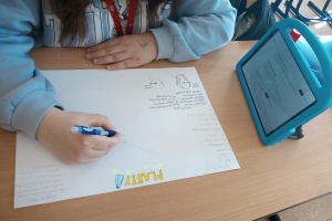 IMG_20250430_115456_3