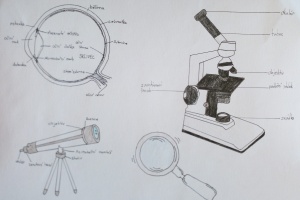 IMG_20250506_121042_0