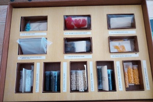 IMG_20250506_125113_0