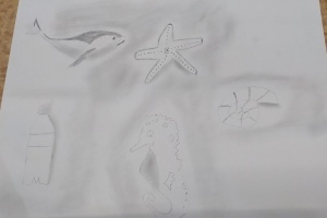 IMG_20250513_082835