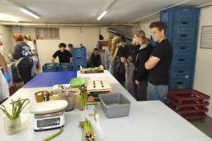 IMG_20250514_101241