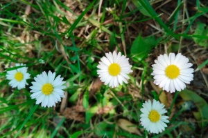 IMG_20250605_125700