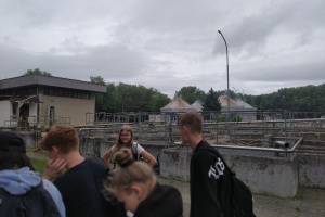 IMG_20250616_105102