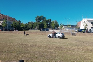 IMG_20250625_100600_2