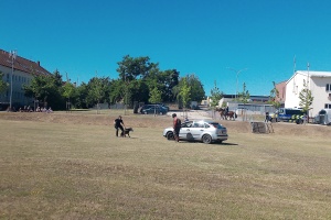 IMG_20250625_100612_4