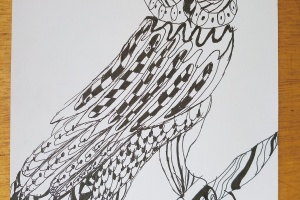 IMG_20250919_124730_1