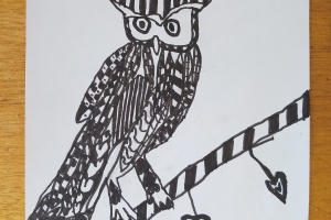 IMG_20250919_124737_1