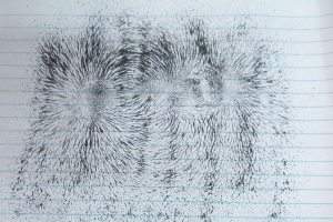 IMG_20250924_081158_3