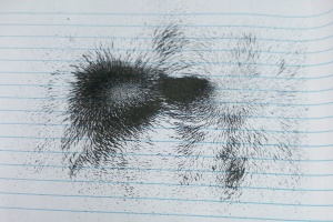 IMG_20250924_081238_9