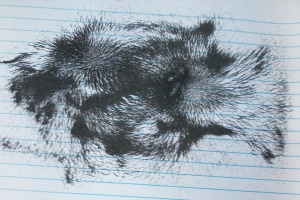 IMG_20250924_081340_8