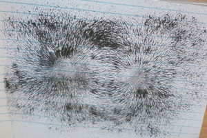 IMG_20250924_081450_5