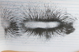 IMG_20250924_082047_5