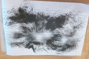 IMG_20250924_082156_2