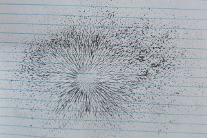 IMG_20250924_082722_6