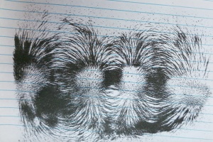 IMG_20250924_082852_4