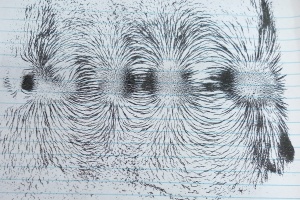 IMG_20250924_082921_9