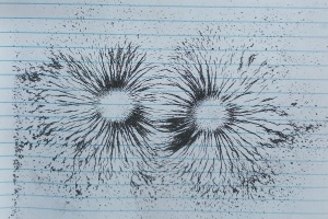 IMG_20250924_083000_8