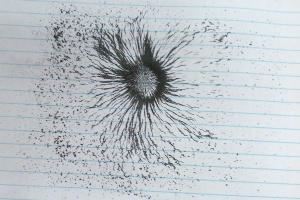 IMG_20250924_083317_0