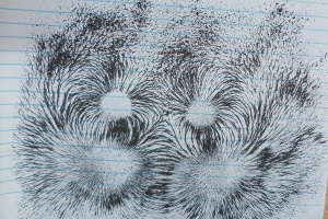 IMG_20250924_083337_5