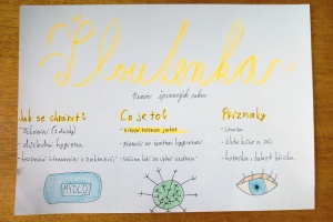 IMG_20251008_152410_9