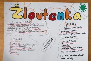 IMG_20251008_152420_4