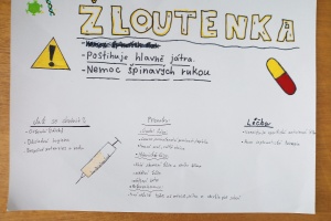 IMG_20251008_152438_9