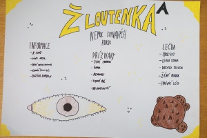 IMG_20251008_152514_3